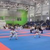 2018 &raquo; WKF Karate Diákolimpia 2018.11.03.